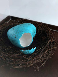 This Bird Has Flown - Smolensky Gallery