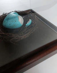 This Bird Has Flown - Smolensky Gallery
